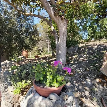 La Limonaia Monteriggioni